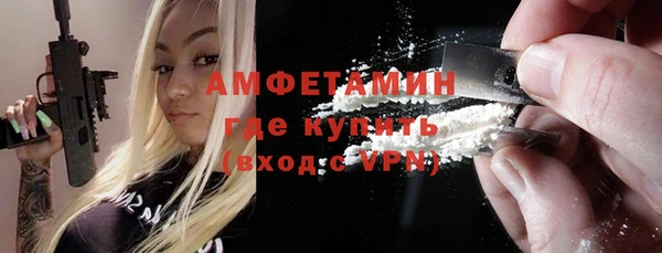 гидра Няндома