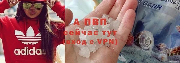 гидра Няндома