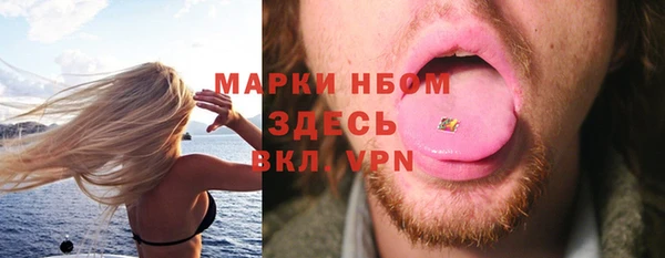 гидра Няндома