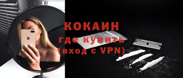 гидра Няндома