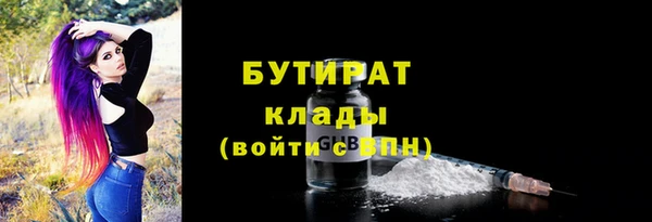 гидра Няндома