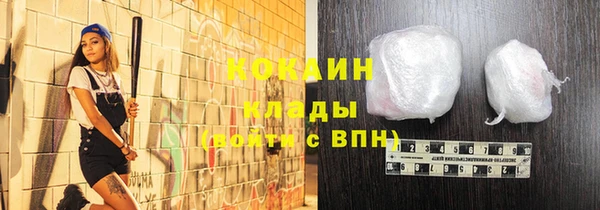 гидра Няндома