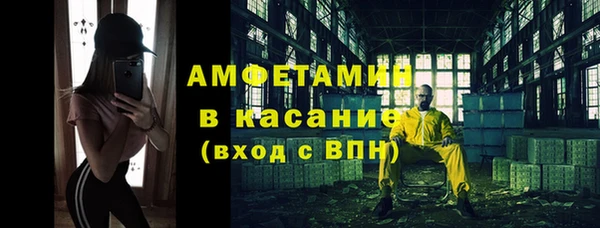 гидра Няндома
