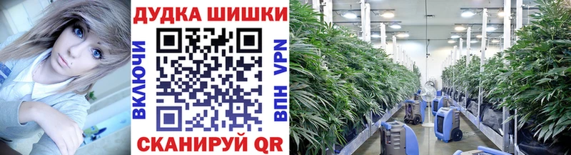 Каннабис OG Kush Балей